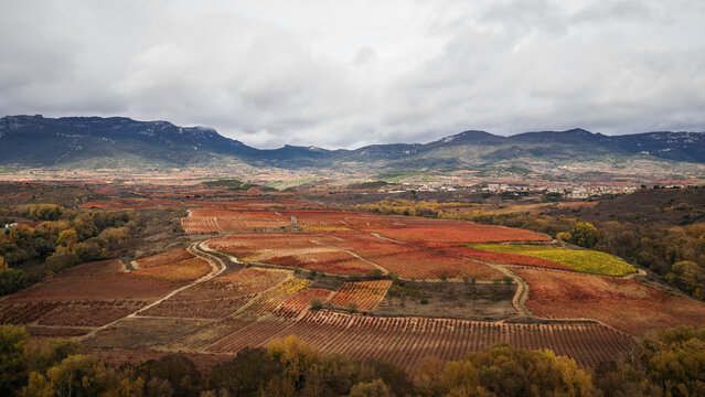 La Rioja is a province and autonomous community in northern Spain with a renowned local wine industry. 