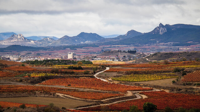La Rioja is a province and autonomous community in northern Spain with a renowned local wine industry. 