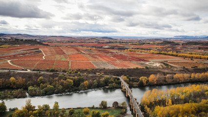 La Rioja is a province and autonomous community in northern Spain with a renowned local wine industry.  - obrazy, fototapety, plakaty