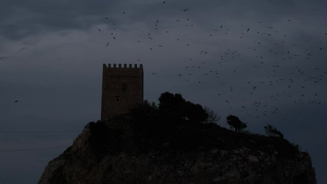 castle, birds flying around the castle, evening