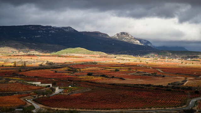 La Rioja is a province and autonomous community in northern Spain with a renowned local wine industry. 