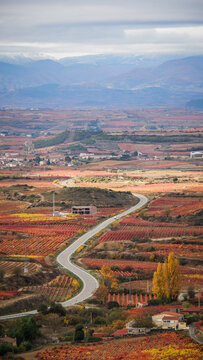 La Rioja is a province and autonomous community in northern Spain with a renowned local wine industry. 