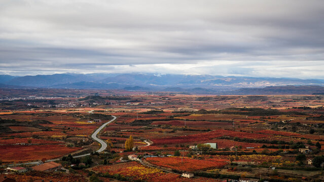 La Rioja is a province and autonomous community in northern Spain with a renowned local wine industry. 