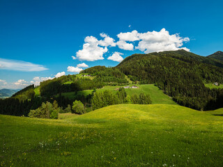 View of beautiful landscape in the Alps with fresh green meadow