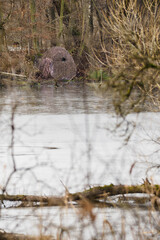 Photo shelter with the lens pulled out by the lake.