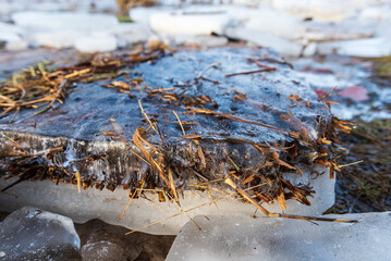 Close up view of ice drift on the frozen river. Melting ice. Reeds is frozen in a piece of ice....
