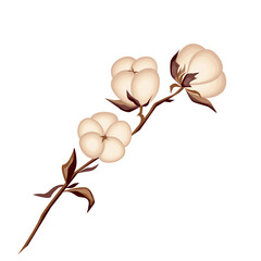 Botanic vector illustration. Decorative floral design isolated on white background.
