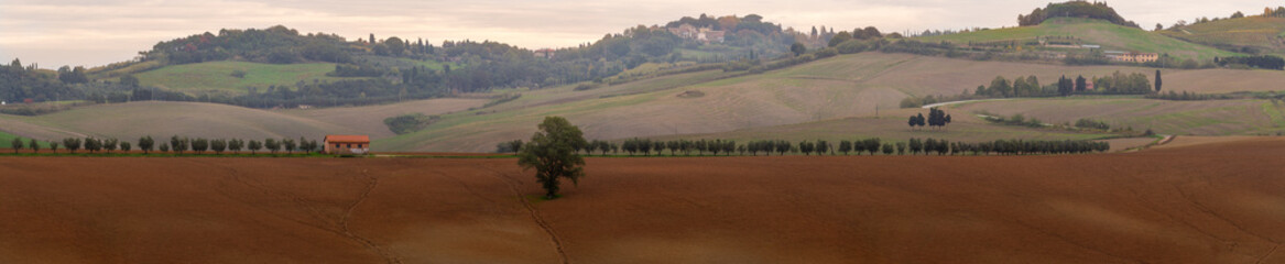Fototapeta na wymiar Hills of Orciano Pisano with plowed land, Tuscany, Pisa