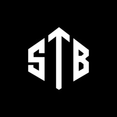 STB letter logo design with polygon shape. STB polygon and cube shape logo design. STB hexagon vector logo template white and black colors. STB monogram, business and real estate logo.