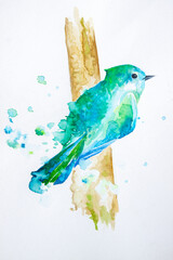 Aquarelle blue bird, hand painted on the white watercolour paper