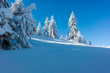 Winter landscape of Vitosha Mountain, Bulgaria