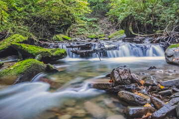 A mountain river in a dense green forest. Natural landscape. The photo is on a long exposure.