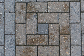 Stone pavement. Paving slab. Background, texture.
