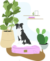 The dog is sitting on a dog lounger. Dog in a cozy apartment. Digital vector illustration. 