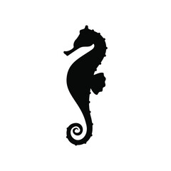 silhouette of a sea horse icon © joko
