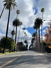 Fototapeta premium BEVERLY HILLS