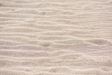 Fototapeta na wymiar Beautiful small sand dunes texture for a summer background. Pattern made by the wind, natural art. Close up. Heat and summer concept.