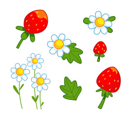 Set of strawberries and flowers of daisies. Vector illustration in cartoon children's style. Isolated funny clipart on a white background. Cute summer print.