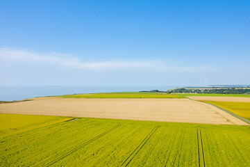 The fields of wheat and flax in the Normandy countryside in Europe, France, Normandy, in summer on a sunny day.