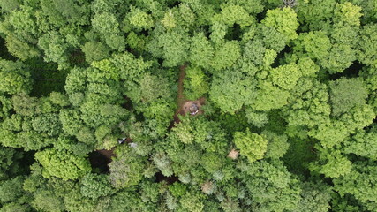 Camping site in the woods trees birds eye view from a drone