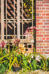 Fototapeta na wymiar Brick walls and statues in the garden