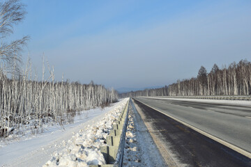Obraz premium Paved road among birch trees. Winter. Snow on the roadside and in the woods.