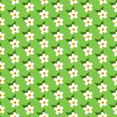 A pattern with simple white colors. Floral ornament. Vector illustration on a green background. For covers, prints, packaging, flyers, fabrics, fashion industry and shops, stationery.