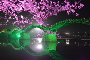 Photo sur Plexiglas Le pont Kintai Pont Kintaikyo et Sakura 