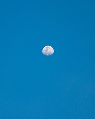 LUNA SOBRE CIELO  DE VERANO 