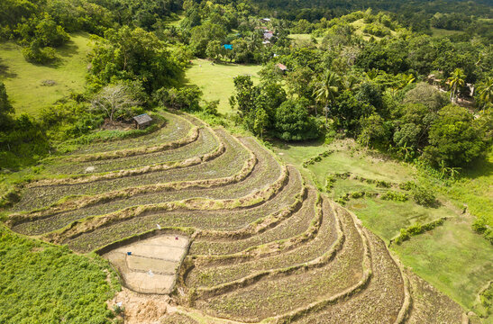 Aerial of hilly terrain used for agricultural farmland, as a terraced rice paddy. At Inabanga, Bohol, Philippines.