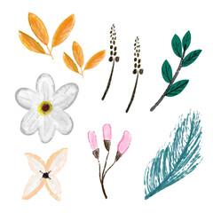 Set of watercolor floral botanical isolated on white background