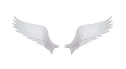 white wings isolated on white background