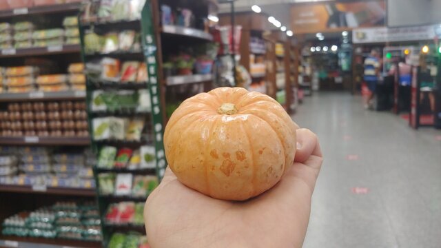 Mini Ab&oacute;bora