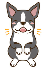 喜ぶボストンテリア（ブラックブリンドルホワイト）
