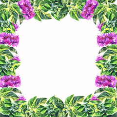 Fototapeta premium Frame Made of Hand Drawn Culinary Herbals. Colored Leaves and Twigs with no Contour. Watercolor Oregano Parts. Illustration for Culinary and other Products, Posters, Designs.