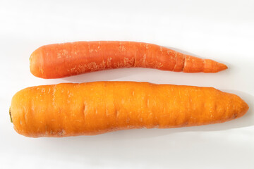 赤い人参の写真