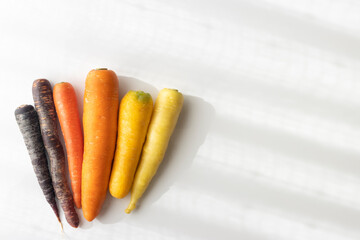 カラフルな人参の写真
