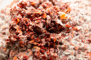 Improper storage of paprika led to the appearance of mold.