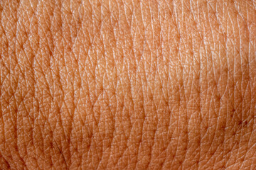 brown human skin texture close-up abstract human skin background