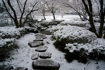 雪が降る日本庭園の風景