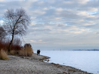 Bodensee bei Konstanz im Winter