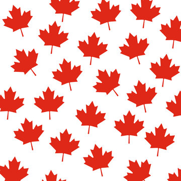 Canadian Maple Leaf Background