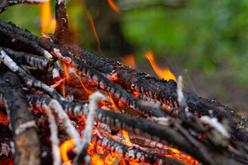 A burning bonfire in the forest. Bonfire in the forest.
