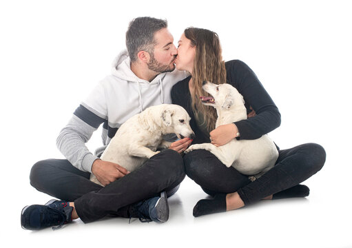 jack russel terriers and couple