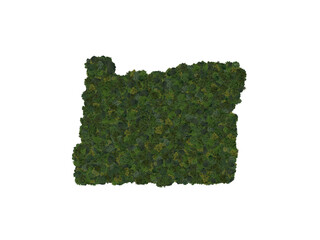 Top view of a forest of trees forming the map of Oregon State, USA. Top view. Environmental ,...