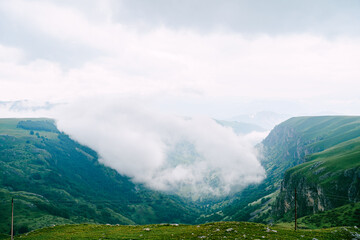 Thick fog in the mountains in Durmitor National Park