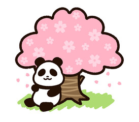 かわいいパンダと桜の木