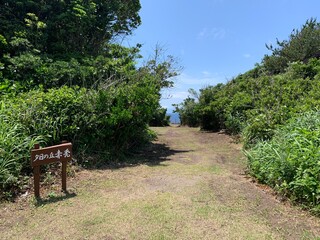 Obraz premium 伊豆大島 夕日の丘 赤禿 富士箱根伊豆国立公園 伊豆諸島 東京