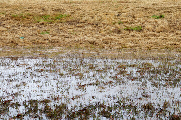 rural landscape after flooding