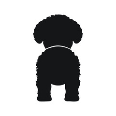 Bichon Frise dog species silhouette.